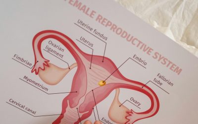 L’ostéopathie pour soulager les douleurs liées à l’endométriose