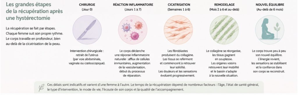 Etapes de récupération après une hystérectomie